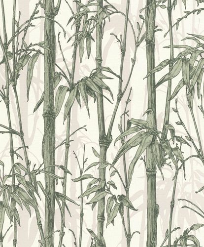 Wallpaper non-woven Rasch bamboo green white 484847
