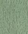 Tapete-Vlies-Rasch-Blaetter-Palme-gruen-schwarz-Glanz-554175-63211748 1