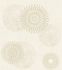 Wallpaper Sample 651720 1