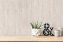 Vliestapete-386142-Pampasgras-Weiss-Grau-Glitzer-63212631_3 4