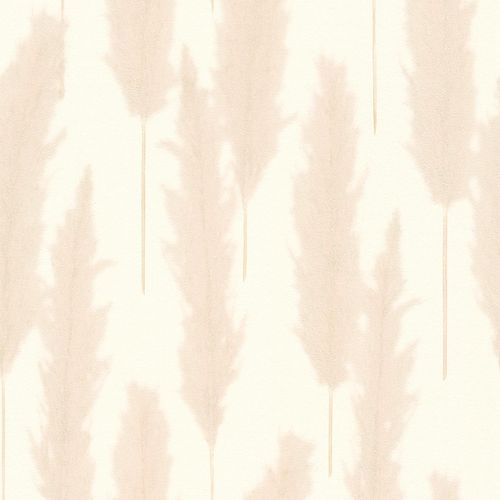 Vliestapete-386312-Pampasgras-Weiss-Beige-63212644