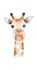 Premium photo wallpaper giraffe beige white 253306 1