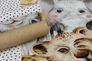 Rasch kids wallpaper animals zoo brown gray 252521 7