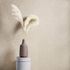 Vliestapete-Wischtechnik-Glitzer-Beige-520248-rasch-63212881 2