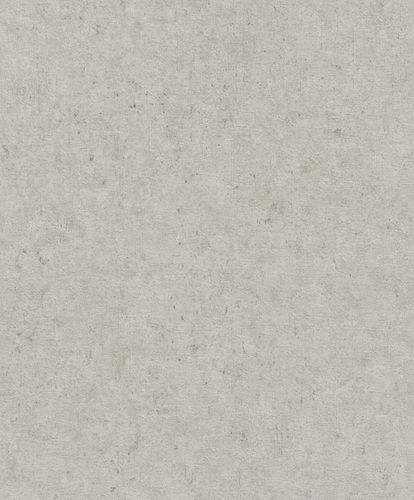 Vliestapete-Putz-Optik-Beton-Greige-520859-rasch-63212894