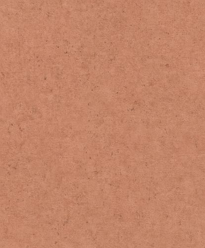 Vliestapete-Putz-Optik-Beton-Terra-520880-rasch-63212897