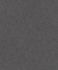 Vliestapete-Putz-Optik-Beton-Anthrazit-520927-rasch-63212899 1