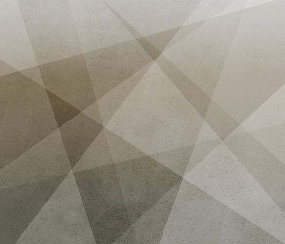 Fototapete-Grafisch-3D-Effekt-Vlies-Taupe-521948-rasch-63212916