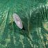 Papis Loveday Wallpaper 86717 Palm leaves green gold 1