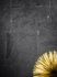 Papis Loveday Wallpaper 86733 texture Black Gold 3