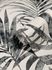 Vliestapete-Ivy-Blaetter-Weiss-Grau-82272-Novamur-63213313_1 2