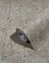 non-woven wallpaper ivy concrete look beige 82301 Novamur 2