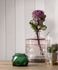 non-woven wallpaper ivy strip pattern white 82303 Novamur 3