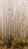 Fototapete-Vlies-Grandeco-Beige-Baeume-A42601-63213460 1