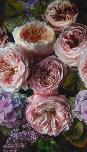 Fototapete-Vlies-Grandeco-Rosa-Lila-Floral-A52101-63213484