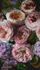 Fototapete-Vlies-Grandeco-Rosa-Lila-Floral-A52101-63213484 1