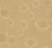 Versace-Vliestapete-38461-1-Medusa-Gold-63213718 2