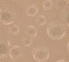 Versace-Vliestapete-38461-2-Medusa-Rosegold-63213719 2