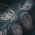 Versace non-woven wallpaper 38611-1 Medusa silver petrol 4