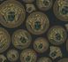 Vliestapete-38611-7-Medusa-Schwarz-VERSACE-Home-Tapete-63213736 1