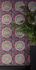 Vliestapete-38705-1-Floral-Medusa-Pink-Schwarz-VERSACE-Home-Tapete-63213748_2 5