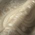 Versace non-woven wallpaper 38705-3 Floral pearl white 3