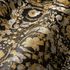Vliestapete-38706-5-Blumen-Muster-Schwarz-Gold-VERSACE-Home-Tapete-63213758_1 3