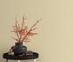 Non-woven wallpaper Erismann 10262-02 Uni beige 3