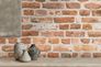 A-S-Creation-Vliestapete-38829-1-Baksteinmauer-Rot-63213989_1 2
