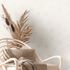 A-S-Creation-Vliestapete-38818-4-Linien-Kreise-Weiss-Silber-63214001_1 2