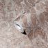 AS Creation non-woven wallpaper leaf pattern gray rose gold 1