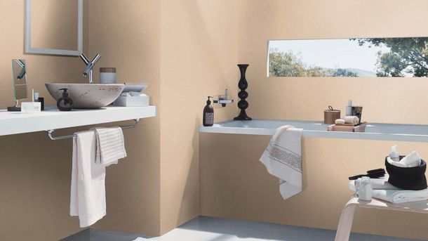 Non-woven wallpaper 555882 Rasch Beige Uni texture