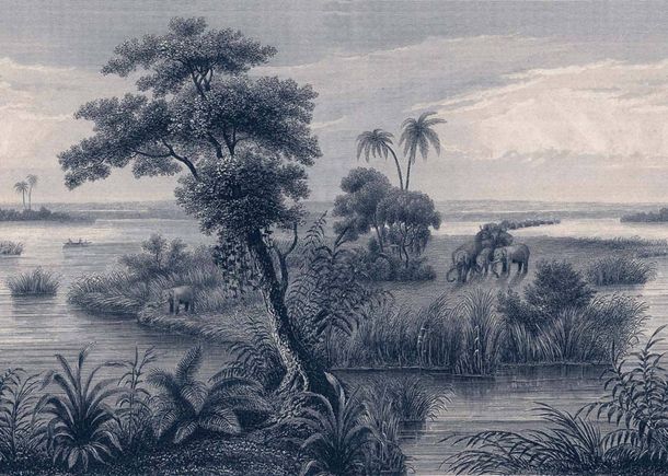 Wall mural 556124 Rasch Blue Beige Savannah Palm Tree