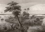 Wall mural 556131 Rasch Black Beige Savannah Palm Tree 1