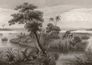 Wall mural 556148 Rasch Black Beige Savannah Palm Tree 1