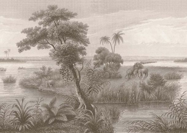 Wall mural 556162 Rasch Brown Beige Savannah Palm Tree