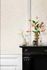 Vliestapete-538311-Rasch-Beton-Optik-Perlmutt-Silber-63214375_4 6