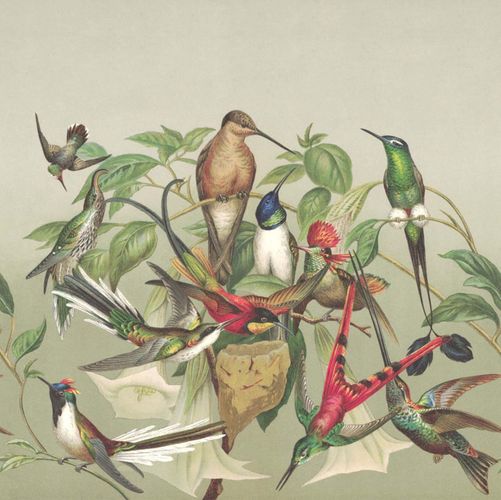 Mural 543537 Rasch Green Brown Birds Exotic