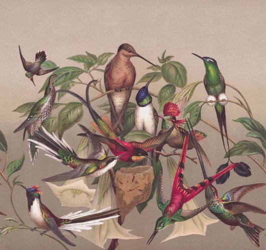 Mural 543568 Rasch Beige Green Birds Exotic