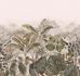 Fototapete-543698-Rasch-Pflanzen-Tropisch-Beige-Gruen-63214395 1