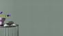 Non-woven wallpaper Rasch light green silver plain lines 844412 4