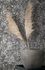 Vliestapete-34296-Barock-Muster-Schwarz-Silber-Marburg-63214728_3 4