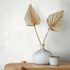 Non-woven wallpaper white plain plaster look Marburg 34184 2