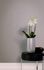 Vliestapete-58428-Blaetter-Linien-Grau-Silber-Marburg-63215107_4 3