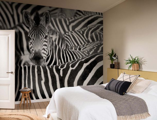 Rasch-Fototapete-Vlies-Zebra-Exotisch-Schwarz-Weiss-363609-63215953_1