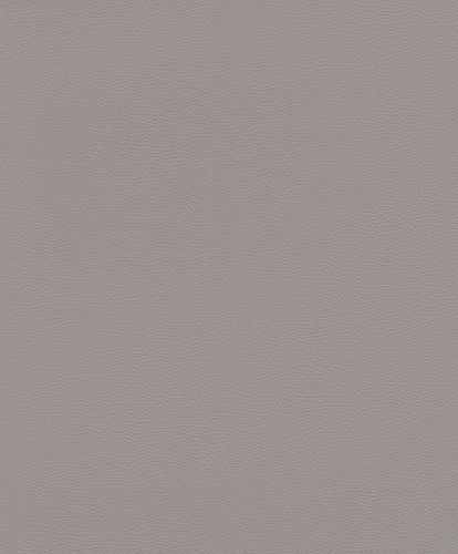 Wallpaper sample article 752649