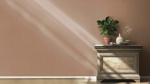 Non-woven wallpaper Rasch 746129 plain texture brown