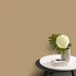Non-Woven Wallpaper Elle textured Gold Metallic 10335-30 5