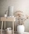 Vliestapete-Putz-Optik-Schrift-Beige-Weiss-Metallic-82365-63216496_3 1