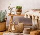 Non-woven wallpaper plaster texture beige cream 82389 3